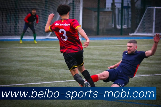 贝博体育APP 高清赛事图